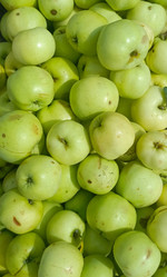 Similar image 22244034