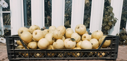 Similar image 22244035