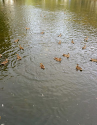 Similar image 22244039