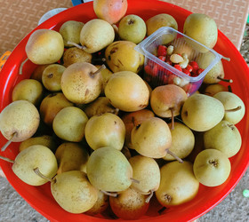 Similar image 22244044