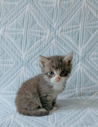 Similar image 22244046