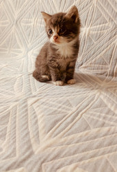 Similar image 22244047