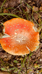 Similar image 22244051