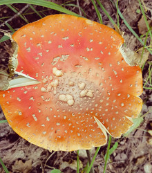 Similar image 22244052