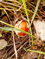 Similar image 22244055