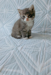 Similar image 22244056