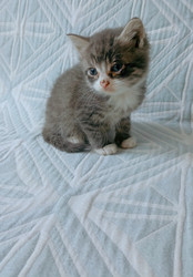 Similar image 22244057