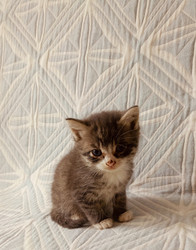 Similar image 22244058