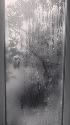 Similar image 22244060