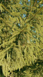 Similar image 22244061