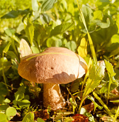 Similar image 22244064