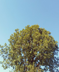 Similar image 22244066