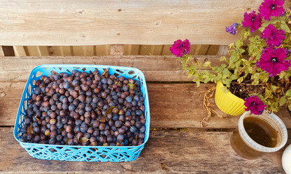 Similar image 22244067