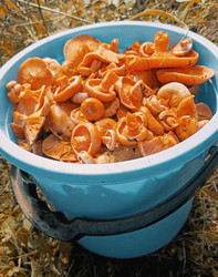 Similar image 22244070