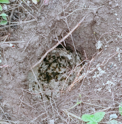 Similar image 22244071