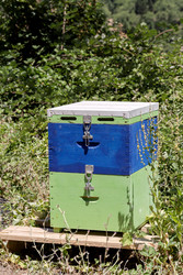 Similar image 22243297