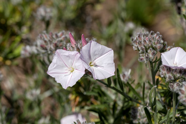 Similar image 22246920