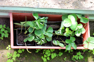 Similar image 22243813