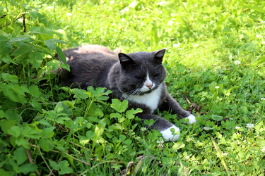 Similar image 22243814