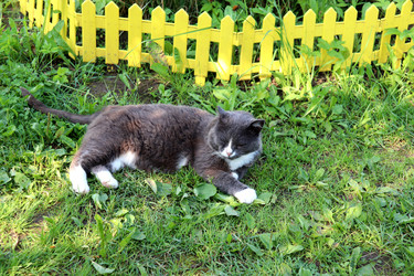 Similar image 22243815