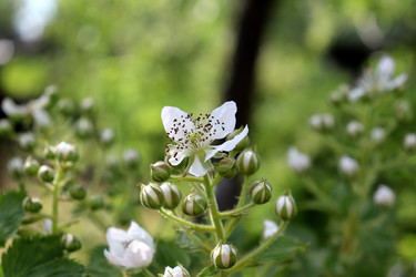 Similar image 22243816