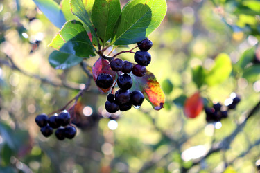 Similar image 22243817