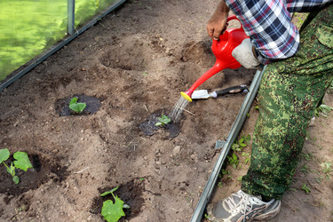 Similar image 22243818