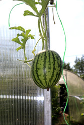 Similar image 22243821