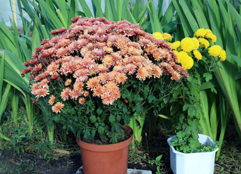 Similar image 22237439