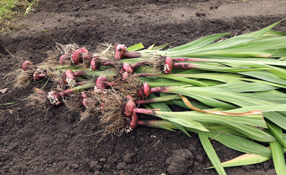 Similar image 22237440