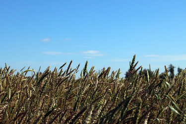 Similar image 22237441