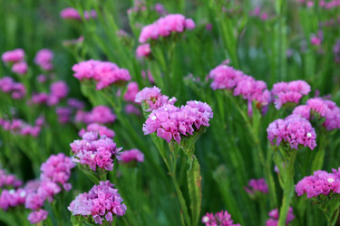 Similar image 22237444