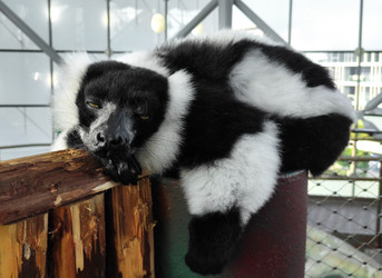 Similar image 22244200