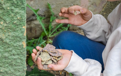 Similar image 22244203