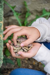 Similar image 22244204