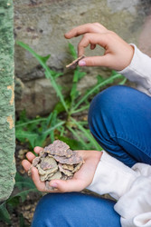 Similar image 22244205