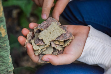 Similar image 22244206