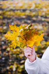 Similar image 22244207