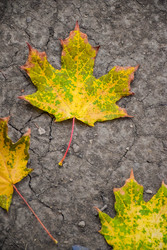 Similar image 22244208