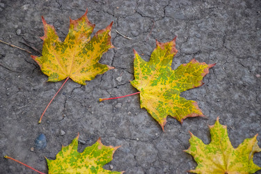 Similar image 22244209