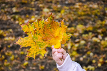 Similar image 22244210