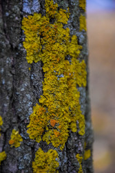 Similar image 22244211