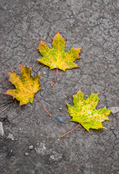 Similar image 22244212