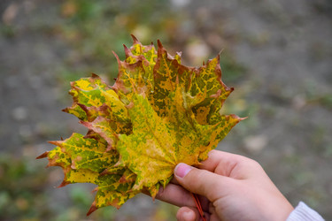 Similar image 22244213