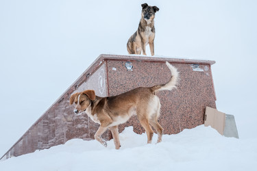 Similar image 22243564