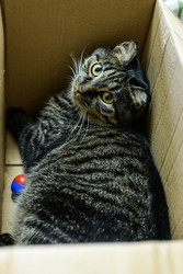 Similar image 22243823