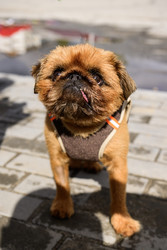 Similar image 22243825