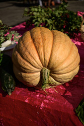 Similar image 22243828