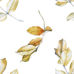 Similar image 22244537