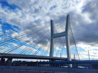 Similar image 22237449